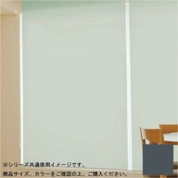 タチカワ ファーステージ 遮光2級ロールスクリーン ダークブラウン 幅60x高さ180cm プルコード式 TR-1104 ネムロブラック