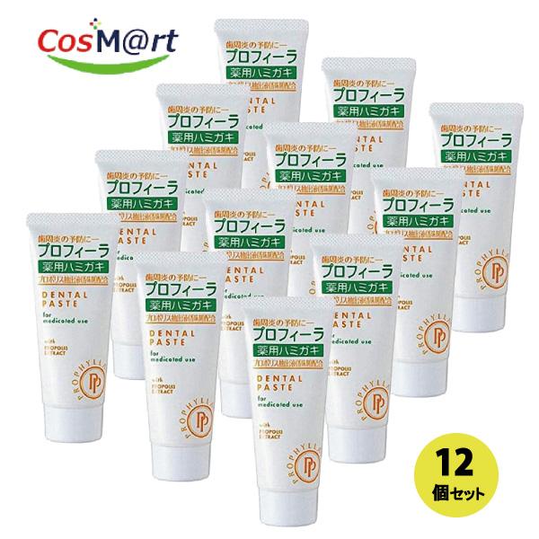 【12個セット】 【歯科専売品】 松風 プロフィーラ 薬用ハミガキ 100g SF (4573599350017-12) 13,800円