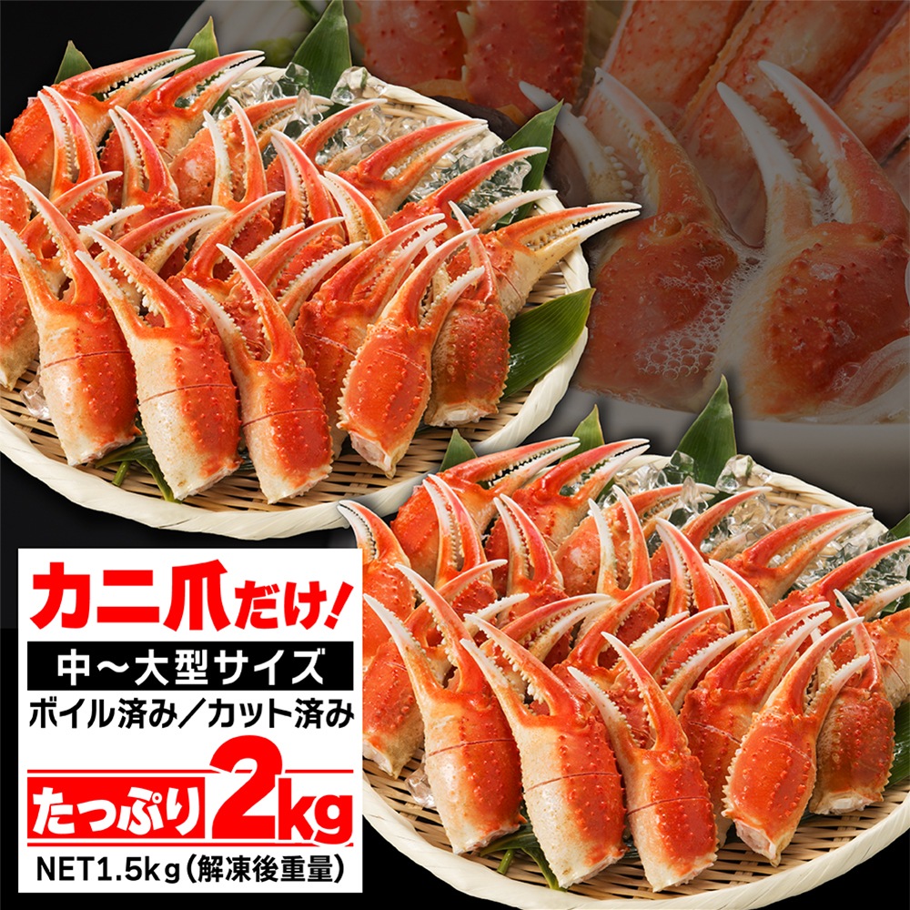 希少な爪だけ！たっぷり2kg(NET75%) 旨みたっぷりの本ずわいカニ爪 切れ目入りでハサミ不要！中～大型サイズ