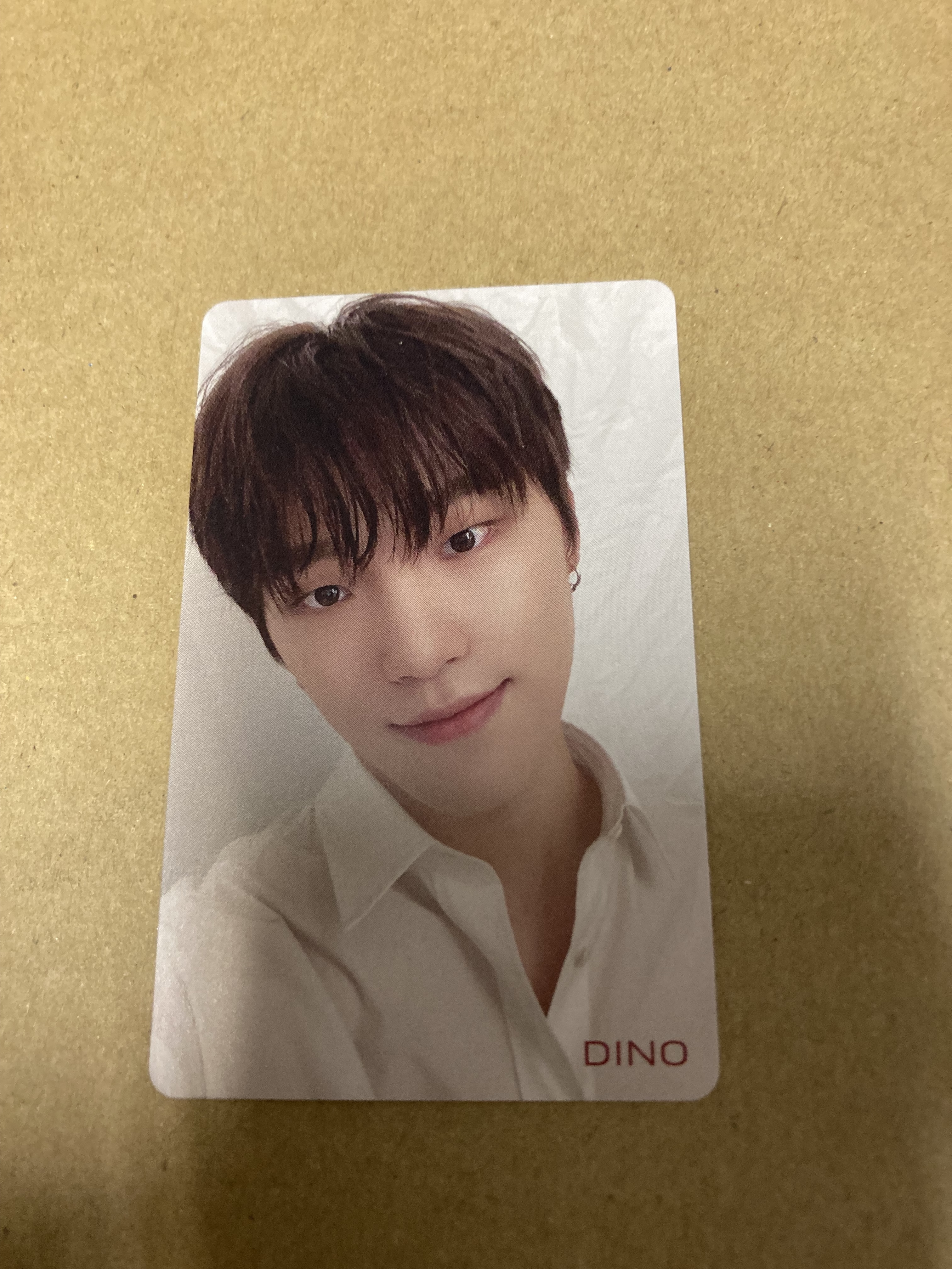 SEVENTEEN 24H HMV特典カード DINO a 新品