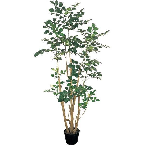 FG088208　造花　ポリシャスポット　ＬＧＲＥＥＮ メーカー直送