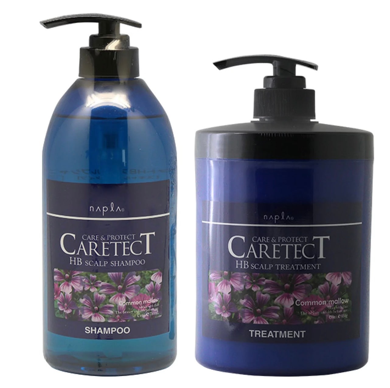 ケアテクト HB スキャルプ シャンプー 750ml＋トリートメント 650g ポンプ セット