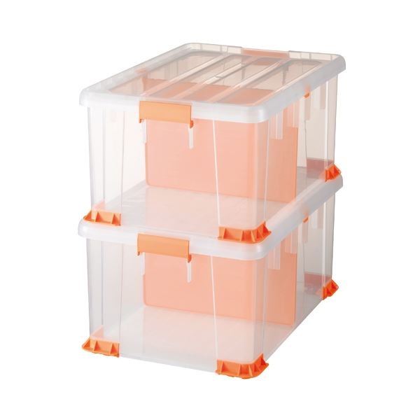 （まとめ）サンカ 書類保管用ケース LLTCP-66-30CL2P 1セット（2個）[x3セット]