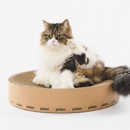 【韓国公式/正規品】ペペ ピダン 猫 スクラチャー サークル
