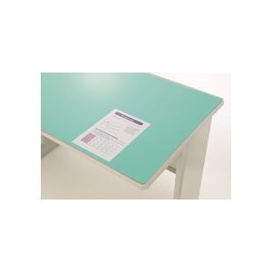 ライオン事務器 デスクマット アクリル製硬質透明タイプ ダブル（グリーンマット付） 1045×715×1.8mm No.5 1枚