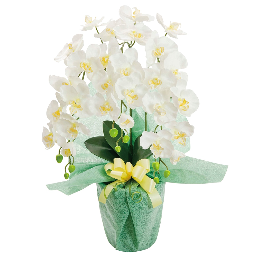 SC触媒加工 プラチナ胡蝶蘭 アーティフィシャルフラワー HCA2-WY-23 A085-029 ラッピング無料 のし無料 メッセージカード無料 ギフト 詰め合わせ ギフトセット 内祝い A41