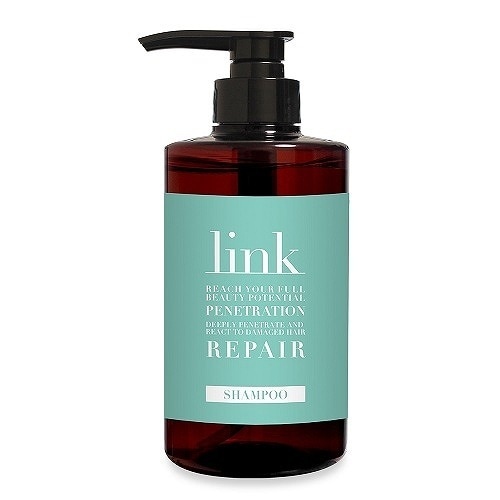 リンク シャンプー 500ml 5,445円
