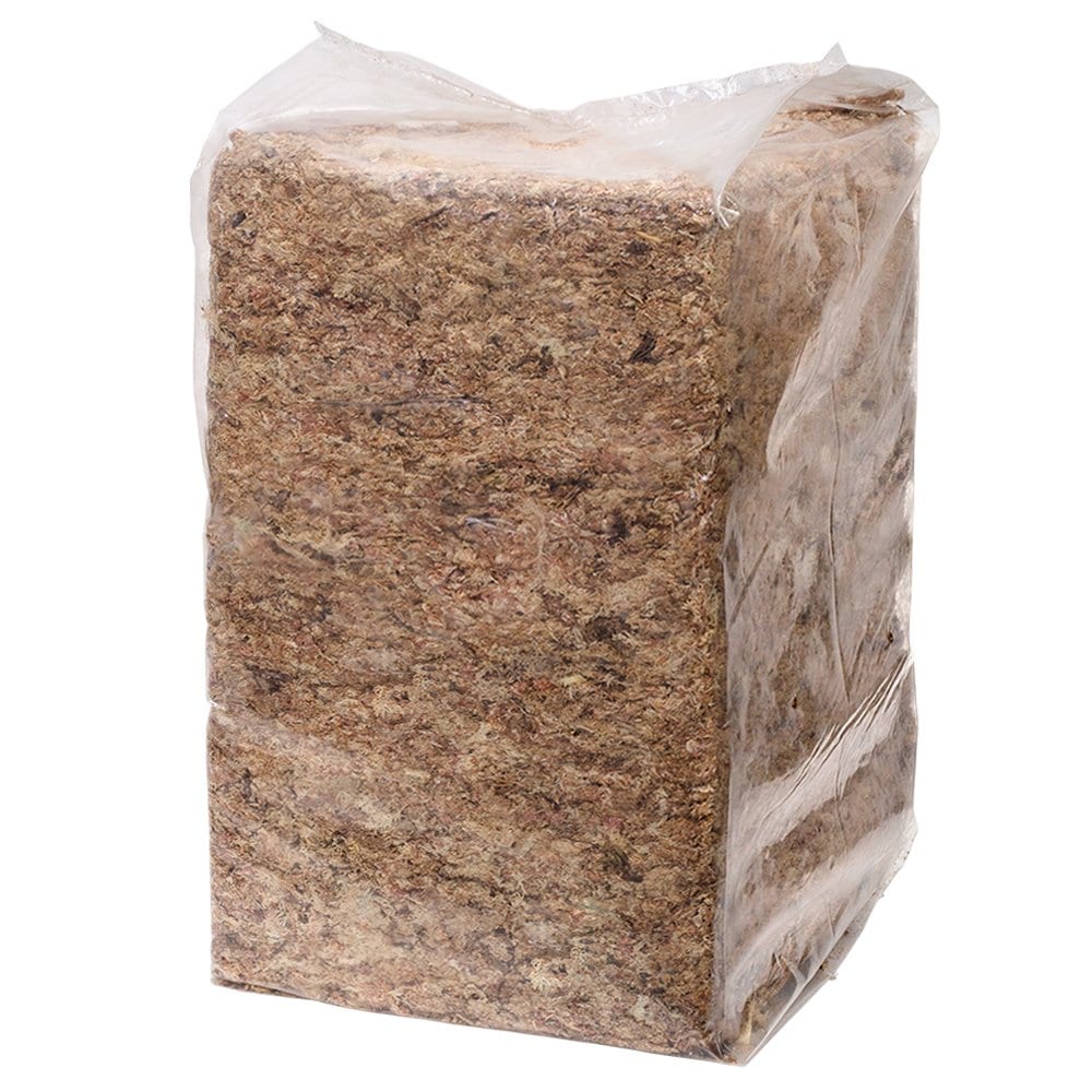 水苔　チリ産　高級　５ｋｇ　無地パッケージ　ＣＲＣ90―15―05―00―00