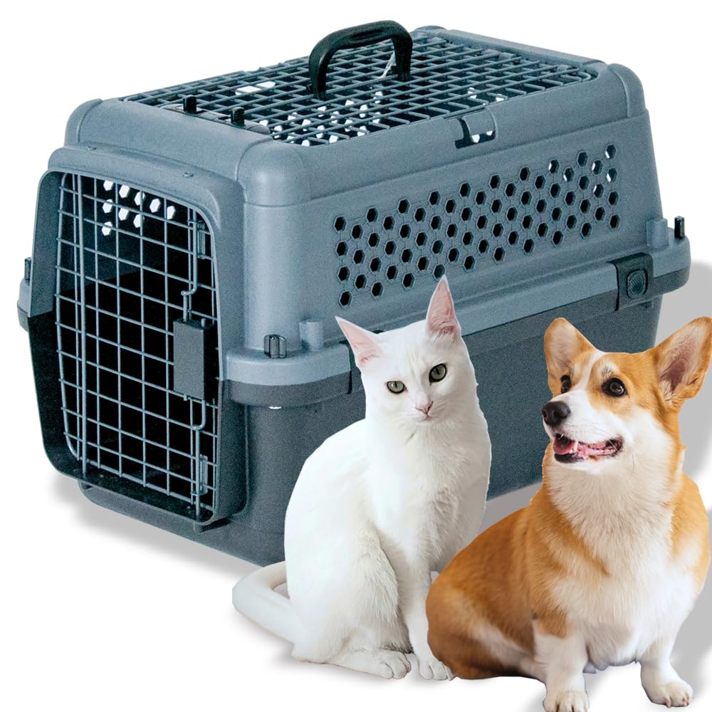 プチリュバン ペットキャリーバッグ PR60 L 外寸：幅40.5×高41×奥行60.5cm 小型犬用