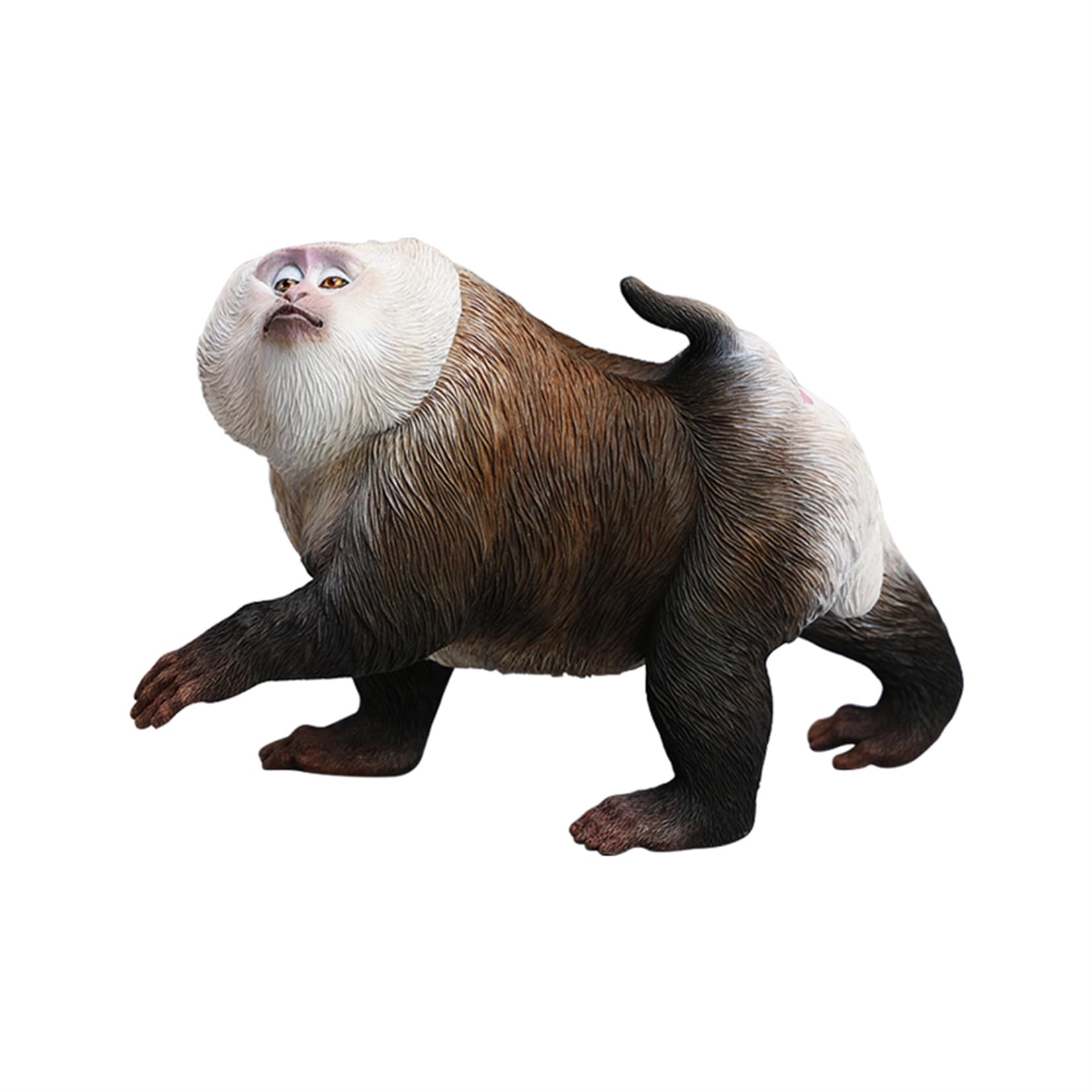 JXK 1/6 サイズ 豚尾猿 ブタオザル 可愛い さる 動物 リアル フィギュア 樹脂 プラモデル 模型 15cm級 完成品 動物好き プレゼント 置物