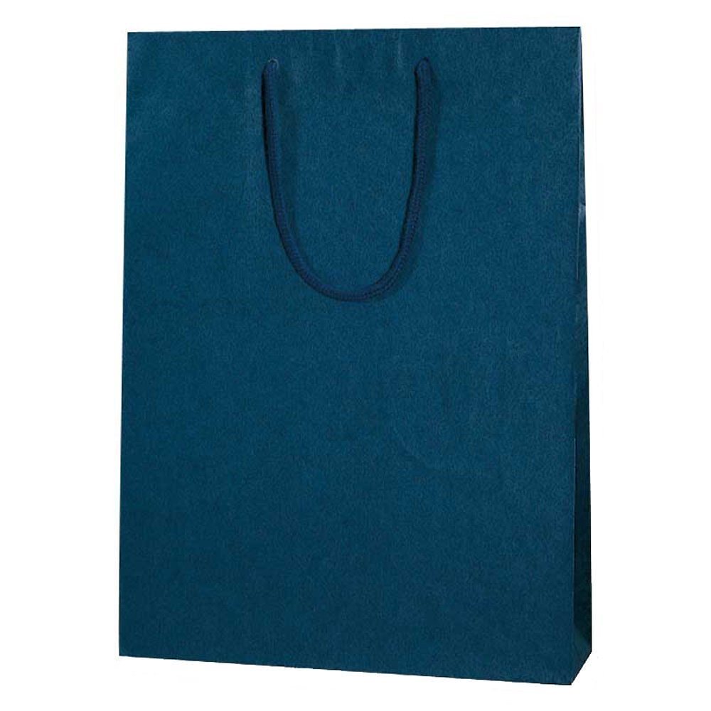 （まとめ買い）ヘイコー 紙袋 手提げ袋 カラーチャームバッグ 2才 33x10x45cm 紺 10枚 5310112 [x3]