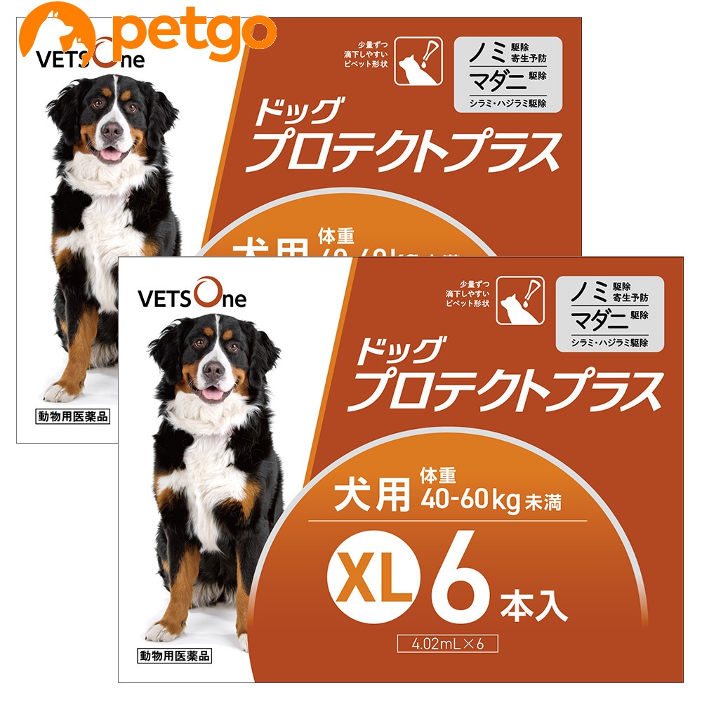 【2箱セット】ベッツワン ドッグプロテクトプラス 犬用 XL 40kg～60kg未満 6本 (動物用医薬品)