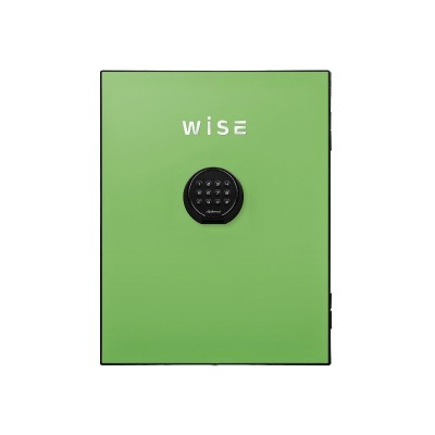 ディプロマット デジタルテンキー式 デザイン 金庫 (WiSE) 用フェイスパネル 内容量5Kg WS500FPG グリーン