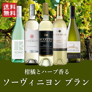 柑橘とハーブ香る ソーヴィニヨン ブラン 飲み比べ 5本セット フランス スペイン