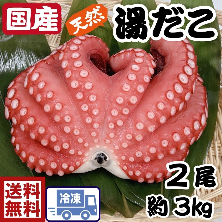 信頼】 湯たこ 2匹（約1.5ｋｇ 2匹） 2098-2 水産物加工品 - www.mafraltda.cl