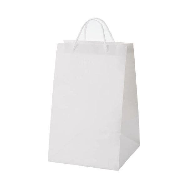 （まとめ）HEIKO 広口チャームバッグ L-2 10枚 6442201[x2セット]