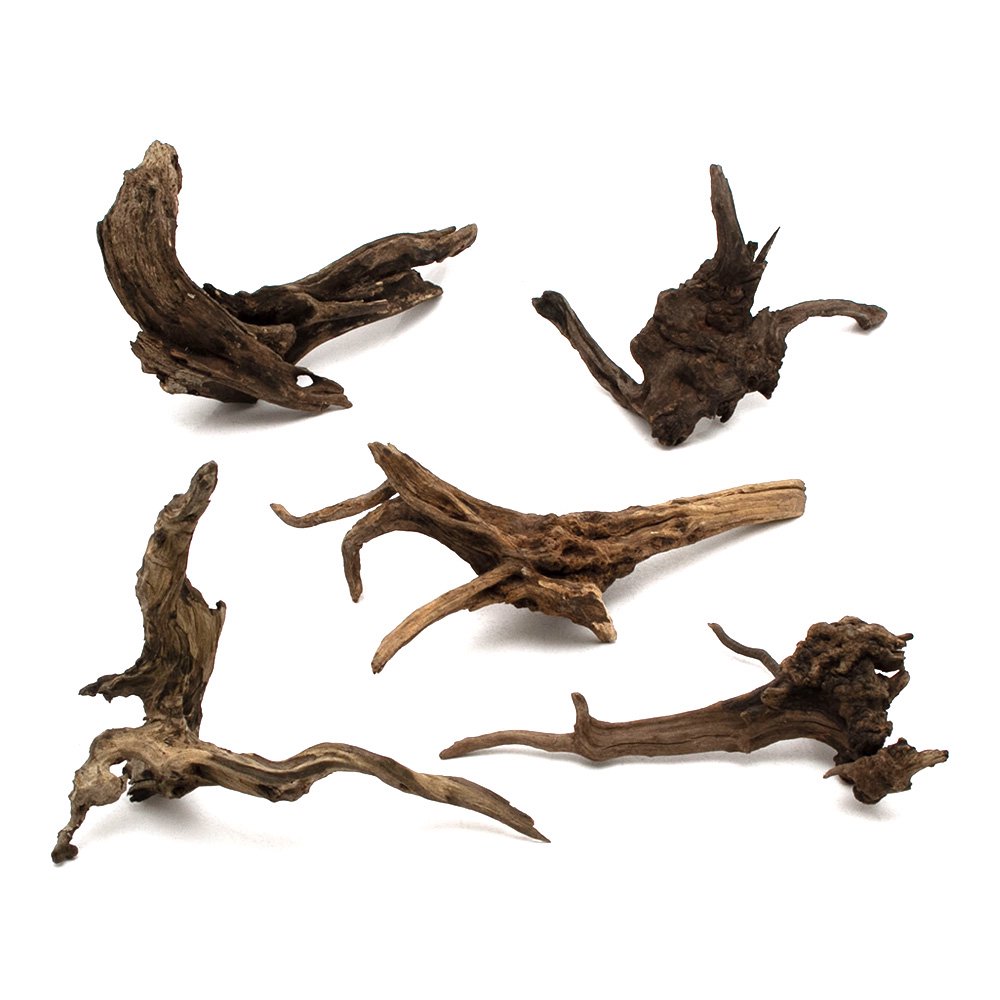 形状お任せ　煮込み済み　ディアーホーンウッド　Ｍサイズ（約２５ー３５ｃｍ）　５本　アクアリウム　レイアウト素材　流木　ＣＲＣ21―10―20―20―00