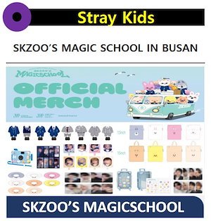 stray kids magic school