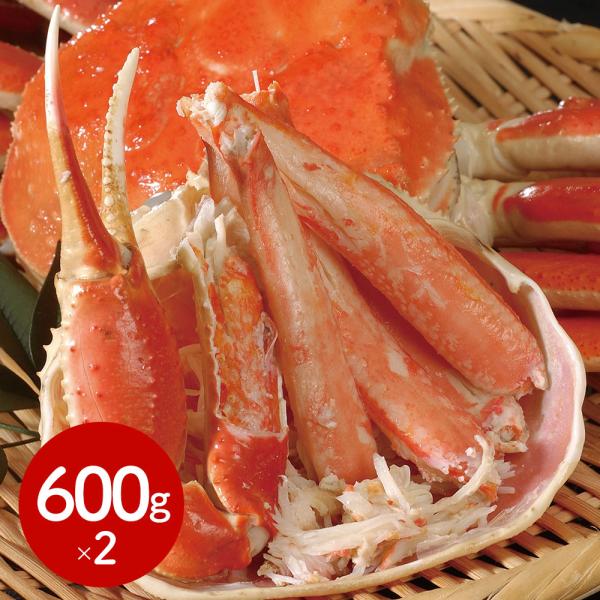 ボイルずわいがに姿 600g×2杯