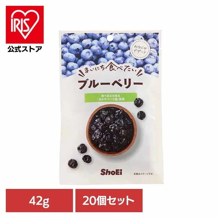 【20個】まいにち食べたい ブルーベリー