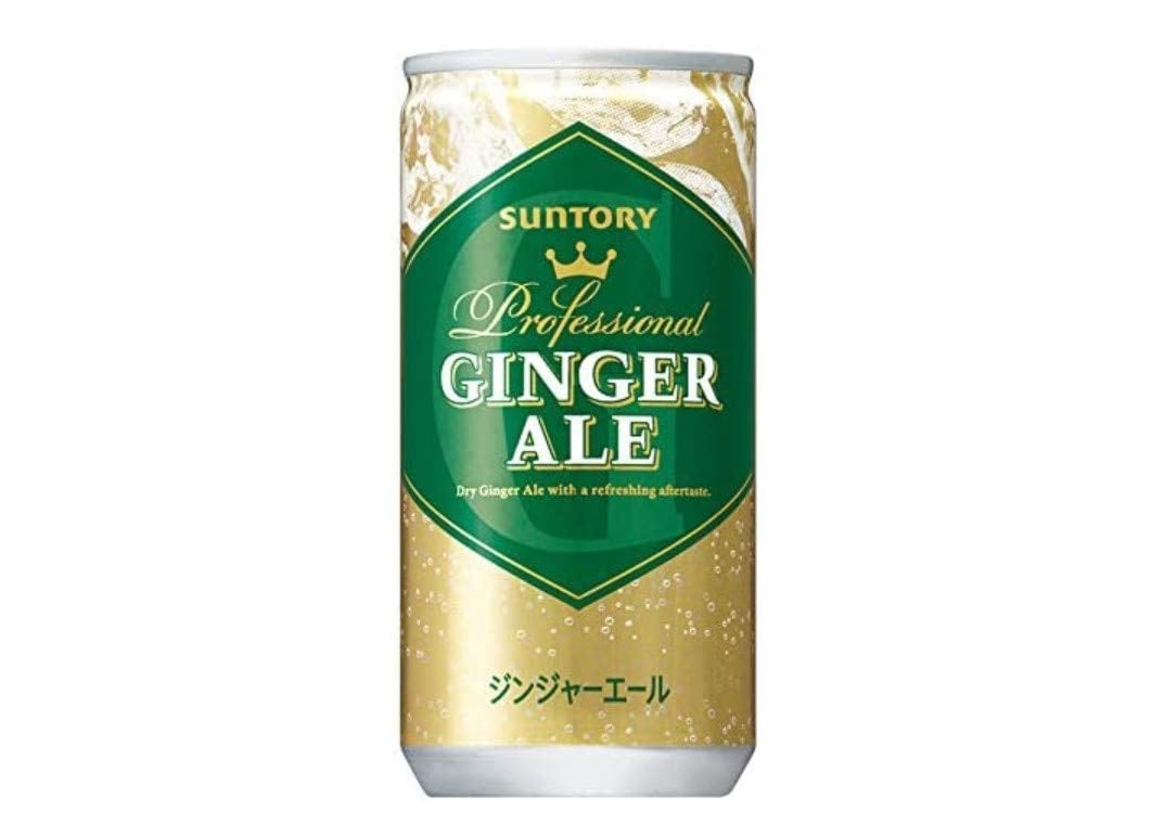ジンジャーエール 200ml×30本 缶
