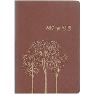 少量入荷/韓国版 ぼっちざろっく！6 特装版 1ST BAND