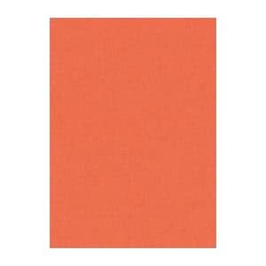 （まとめ） 文運堂 ニューカラーR 四ツ切 横392×縦542mm 4NCR-213 だいだい 100枚入 (×2セット)