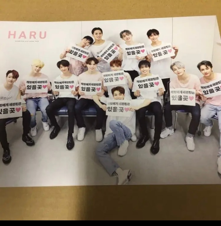 SEVENTEEN 特典カード　HARU 新品z