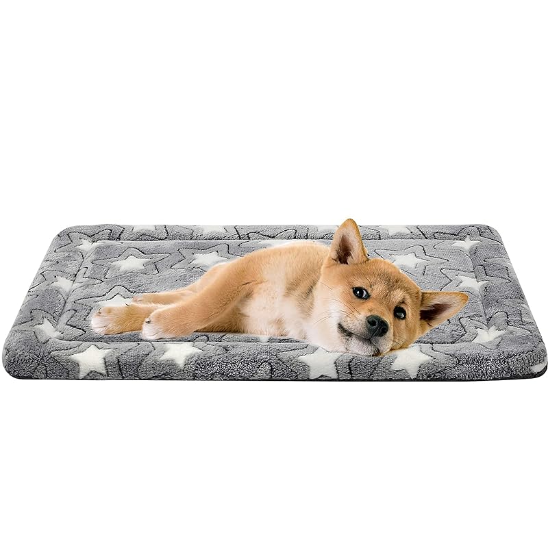 EMPSIGN 犬 ベッド 猫 ベッド ペットクッション ペット マット リバーシブル 洗える ぐっすり眠る 通年使える 寒さ対策 暑さ対策 通気性いい 丁度いい厚さ 毛取りやすい 型崩れしない 小型