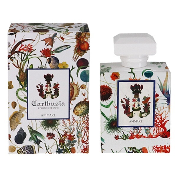 アマーレ EDP SP 100ml