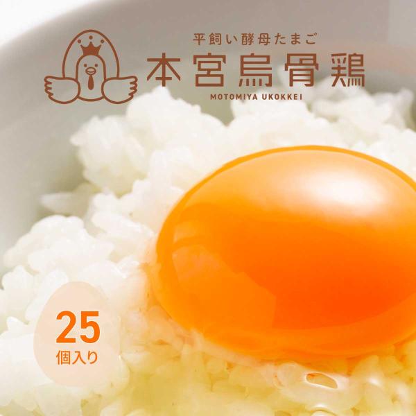 博屋 本宮烏骨鶏 25個入り 平飼い ふくしま