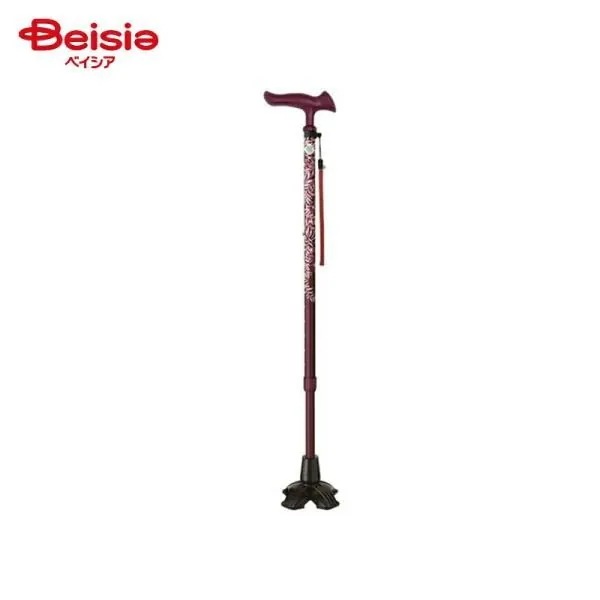 フジホーム かるがもファム2 4点DX 伸縮リーフ ワイン WB5226 1本