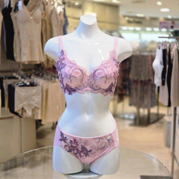 DBR0456BDPT0456HPK_オリエンタルな体型補正ブラ