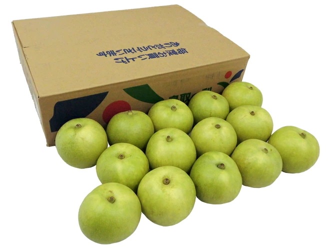 鳥取産 =ハウス二十世紀梨= 秀品 大玉 12-18玉 約5kg 予約 8月上旬以降