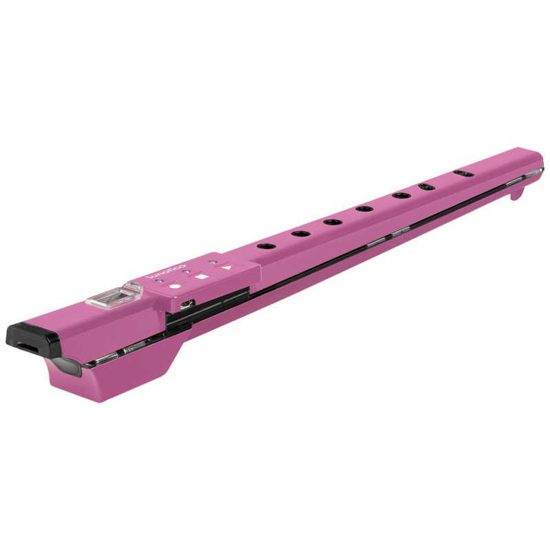 ARTINOISE　電子リコーダー ARTinoise　ANLUNATICAPINK 22,440円