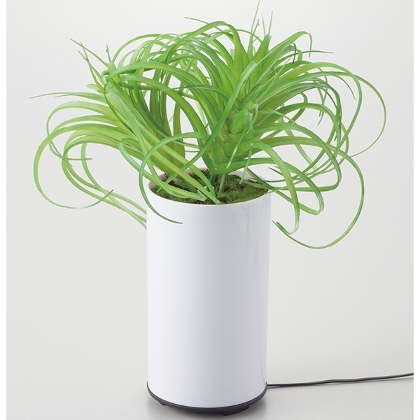 グリーンディフューザー C 観葉植物型アロマ噴霧器 アロマディフューザー I-70092 加湿