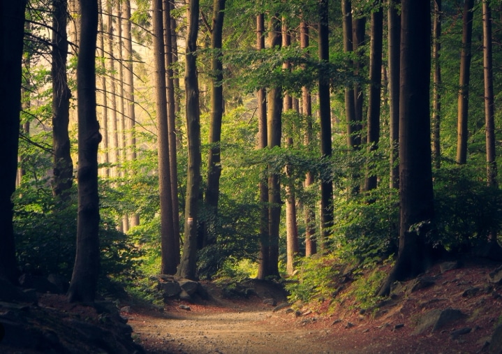 홈생활 악기 기타 피크 TEST ホーム生活 楽器 その他 ピーク 30,000,000円