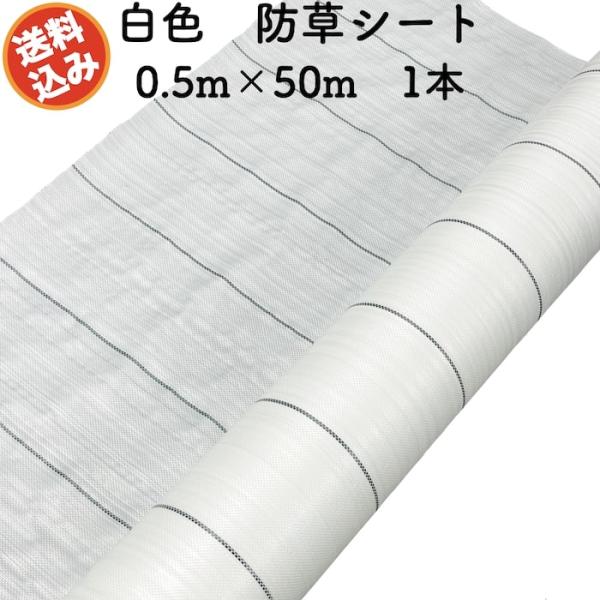 防草シート 白色（サンホワイト） 0.5m50m 1本セット 抗菌剤 UV剤入り 反射 除草シート 太陽光 野菜 畑 農業