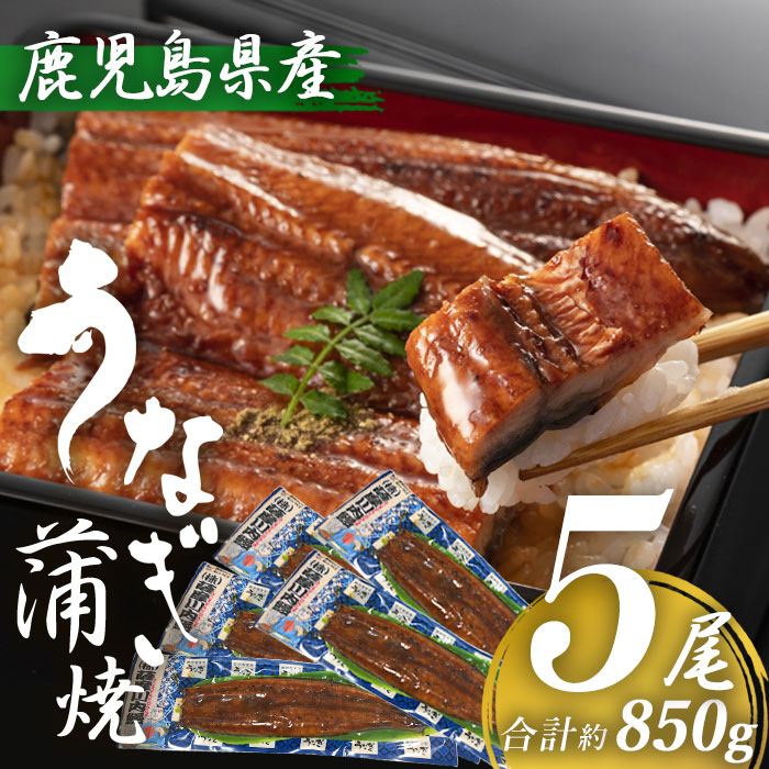 鹿児島県産 うなぎ蒲焼き 約170g 5尾 (タレ山椒付き) 特大 国産 九州産 鹿児島産 薩摩川内うなぎ 冷凍 鹿児島 誕生日 御歳暮 お祝い お礼 内祝い 退職祝い ギフト プレゼント グルメ