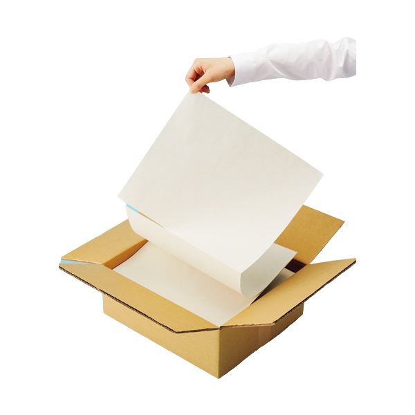 （まとめ）TANOSEE ボーガスペーパー（箱入り） 355304.8mm 1箱（900折） 3セット