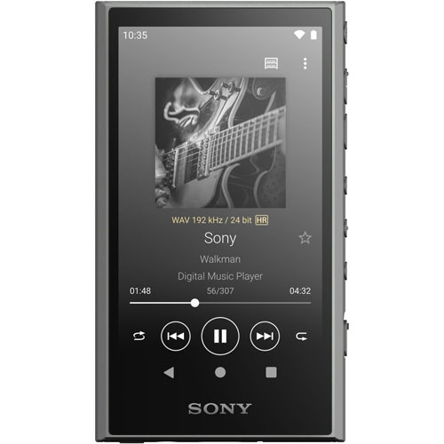 ソニー NW-A307-H ウォークマン A300シリーズ 64GB（グレー） NWA307H