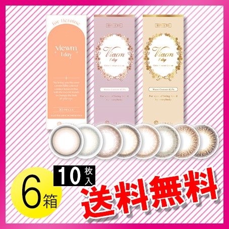 ビュームワンデー 10枚入6箱 / メール便
