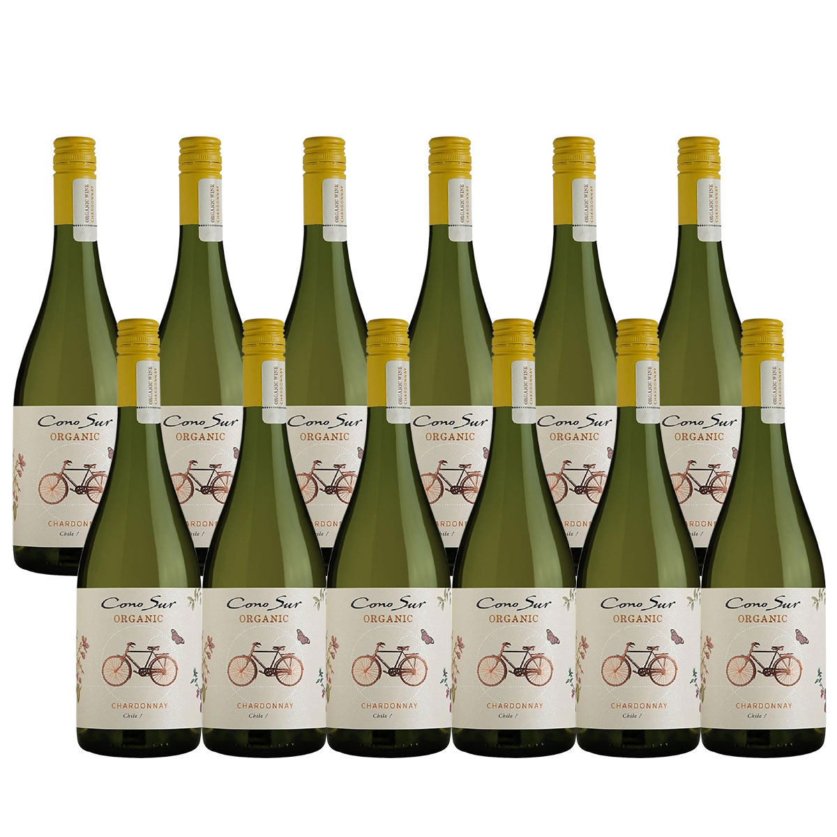 【送料無料】【ケース販売】 コノスル オーガニック ソーヴィニヨンブラン 750ml12本 [チリ/白ワイン/辛口/ミディアムボディ] 【北海道沖縄県東北四国九州 9,563円