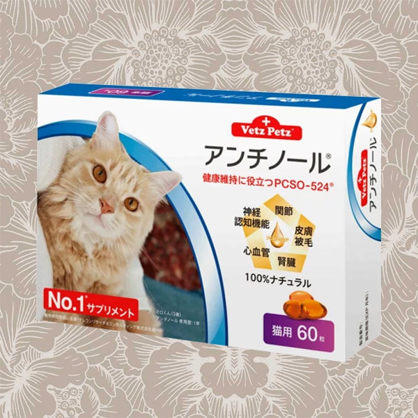 注目の福袋をピックアップ！ アンチノール 猫用 60粒 健康 関節 腎臓 心血管 認知症 サプリメント サプリメント -  www.shred360.com