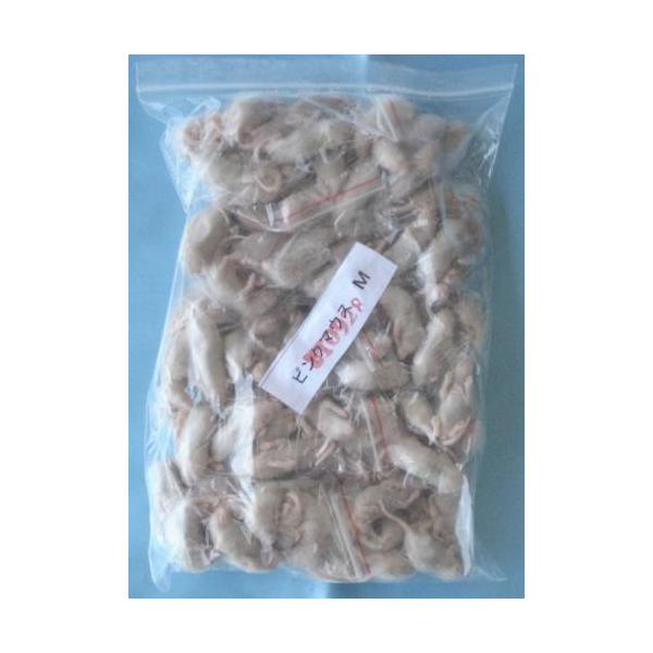 冷凍ピンクマウスM (約3cm) 1,200匹入り【クール便発送】 両生類 猛禽類 爬虫類 肉食 肉 ヘビ トカゲ マウス ネズミ ラット 鼠 ねずみ エサ 餌 フード