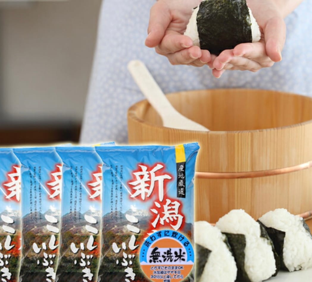 新潟県産　こしいぶき 無洗米 20kg 令和６年産 新潟産 米 無洗米20kg おいしいお米 美味しいお米 産地直送 農家の米 コシヒカリの郷小出農場 15,990円