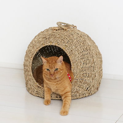 CHANEL シャネル ココマーク リストバンド レース コットン ネイビー