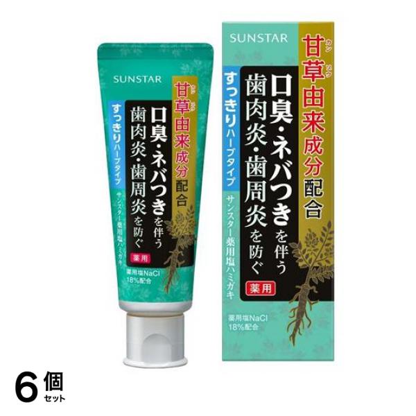 薬用塩ハミガキ すっきりハーブタイプ 85g 6個セット