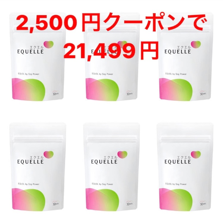 【BIG SALE】6個セット エクエル 120粒 パウチタイプ 大塚製薬 エクオール