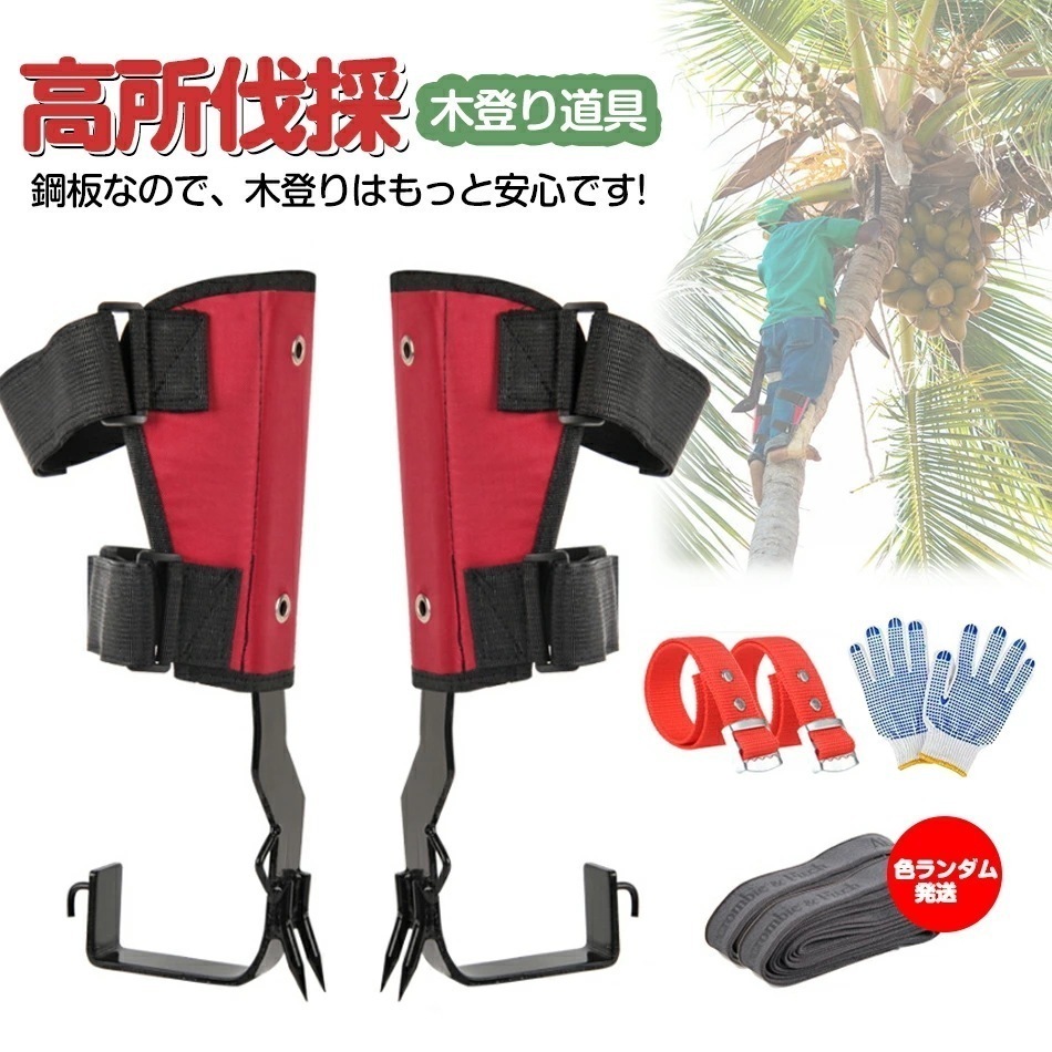 【2点購入で150OFF】品質良い!店舗お勧め! 木登りスパイク 木登り器 木登り道具 昇柱器 直立木登りツール 木登りスパイクセット 調節可能なストラップロープ 林業用品 伐採 道具 狩猟や観察果物